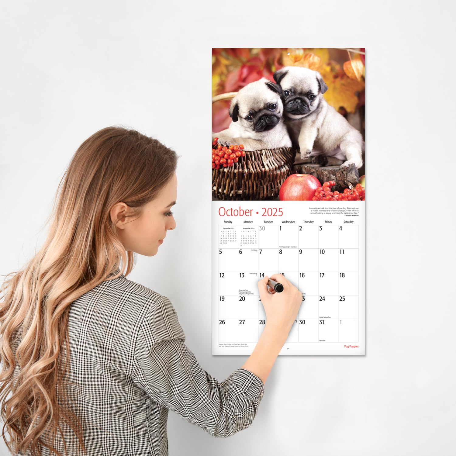 RED EMBER Pug Puppies 2025 Wall Calendar - 12 Month Large 12x24 Inch with Thick Sturdy Paper - Perfect Gift for Dog Lovers - Home, Office & Classroom Decor