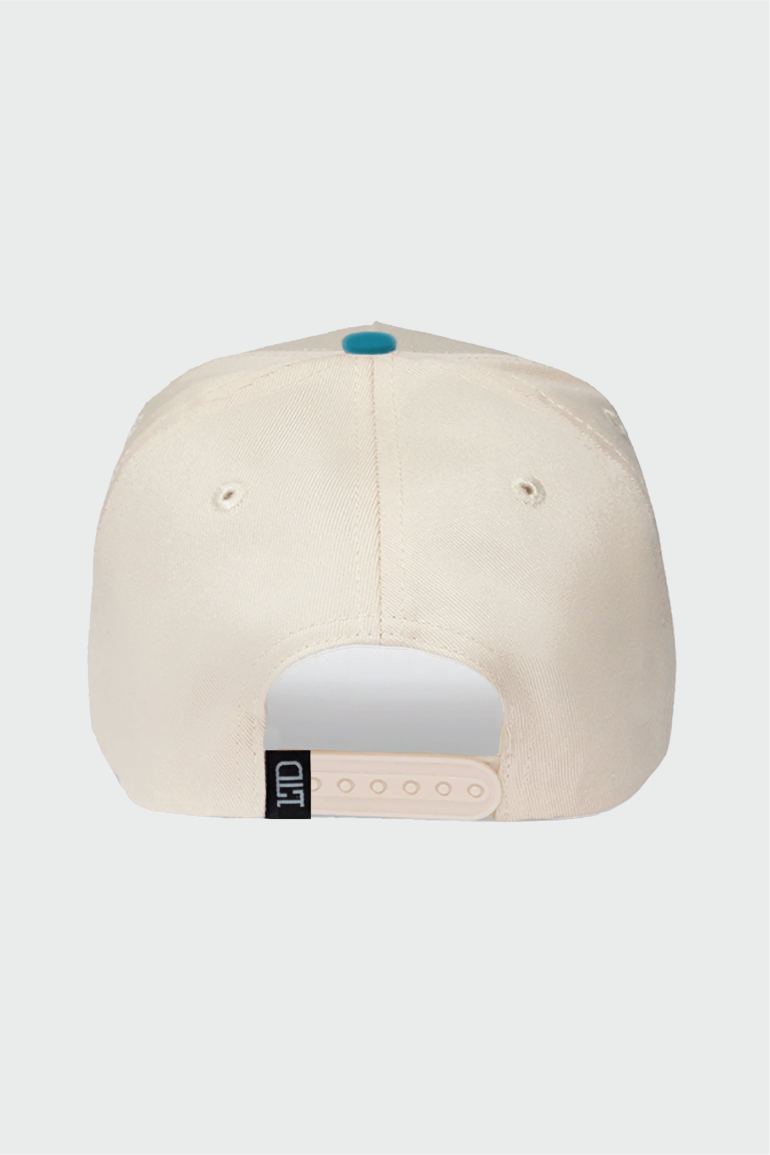 Lucknow Festival Snapback Hat - Teal & Cream Color Adjustable Baseball Cap for Men & Women - Perfect for Festivals, Sports, and Casual Wear