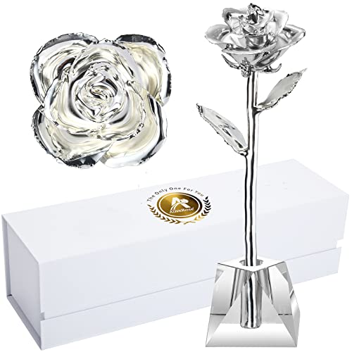 Deluxe Silver