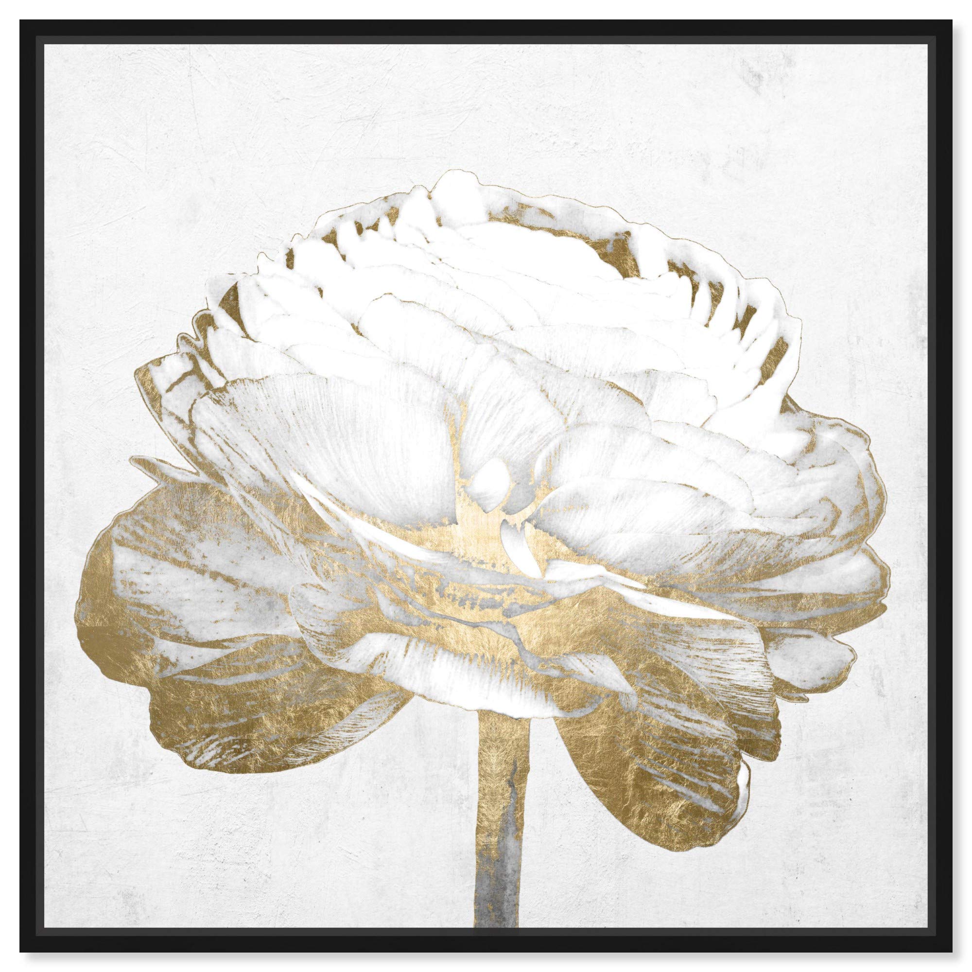 Oliver Gal Artist Co. 'White Love Peony Gold' Framed Wall Art Canvas Print - 30x30 Inch Fashion & Glam Home Decor for Living Room, Bedroom, Office