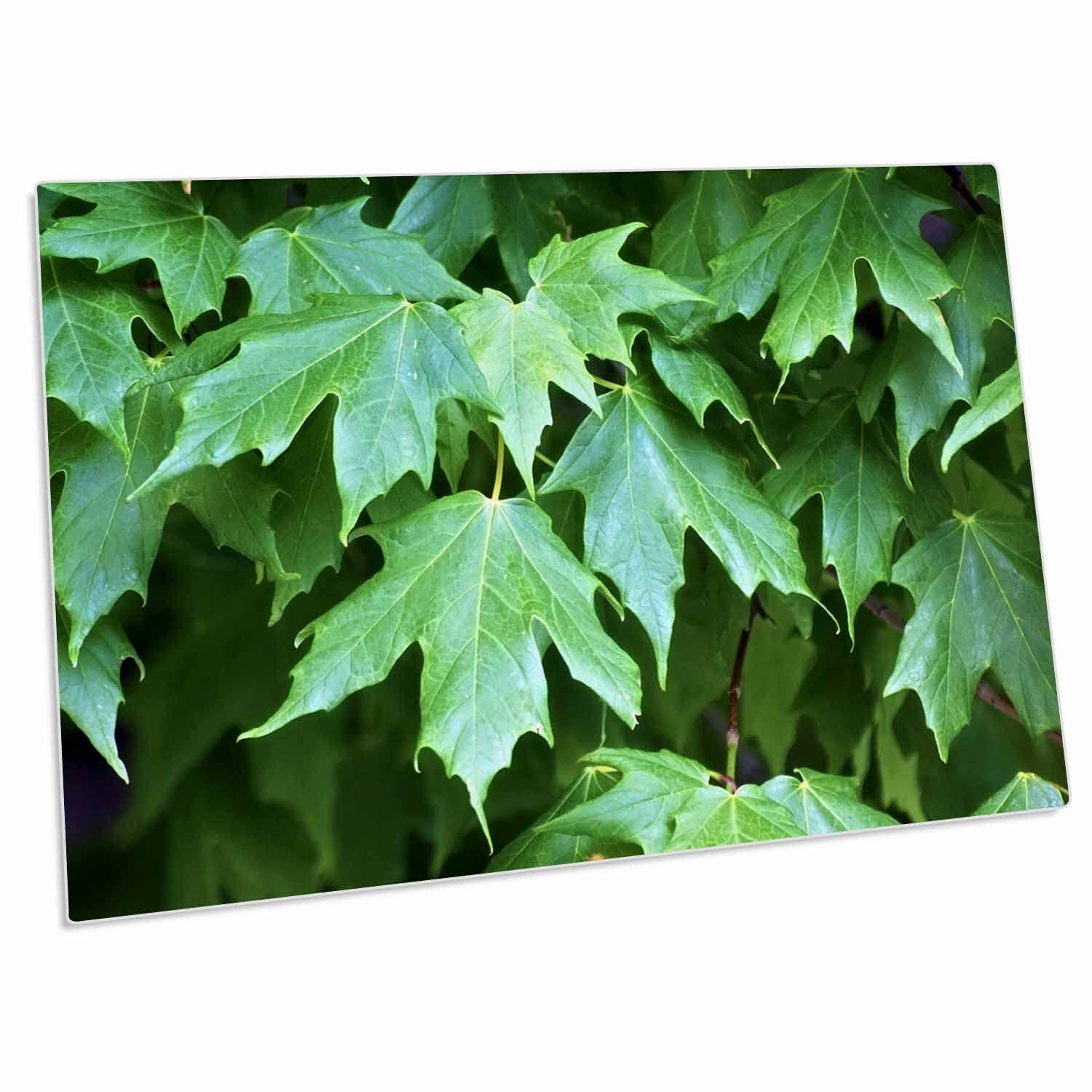 3D Rose Hanging Green Leaves Photograph Desk Pad Place Mats Set of 4 - Non-Slip Table Protector for Dining, Office, or Kitchen - dpd-213531-1