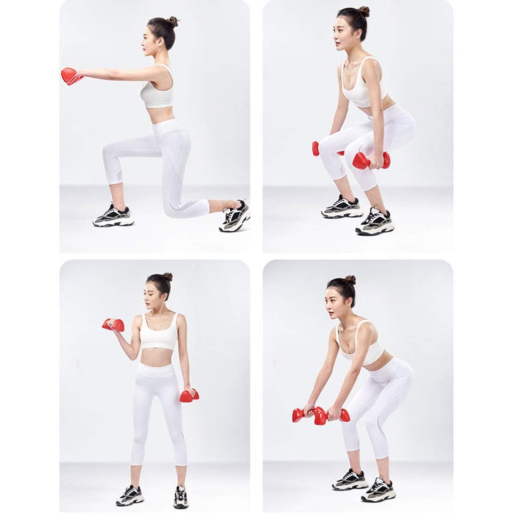 1kg-3kg Vinyl Dumbbell Set for Home Gym - Perfect for Weight Training, Bodybuilding & Fitness Workouts - Ideal for Strength Training, Toning & Home Exercise