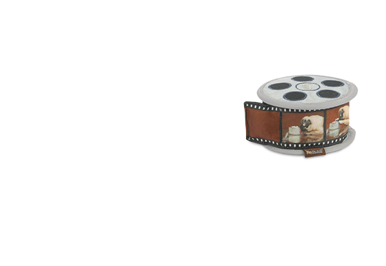 Hollywoof Cinema Squeaky Plush Dog Toys - Momo's Movie Reel Chew Toy for Small & Medium Dogs | Fun Interactive Puppy Toy for Playtime & Training | Perfect Gift for Movie-Loving Pet Owners