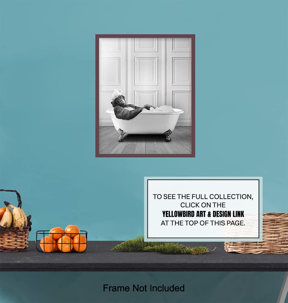 Funny Bathroom Wall Art for Men & Women - Modern Monkey Chimp Decor Sign - Unique 8x10 Powder Room Poster - Perfect for Guest Bathrooms, Restrooms & Home Decor