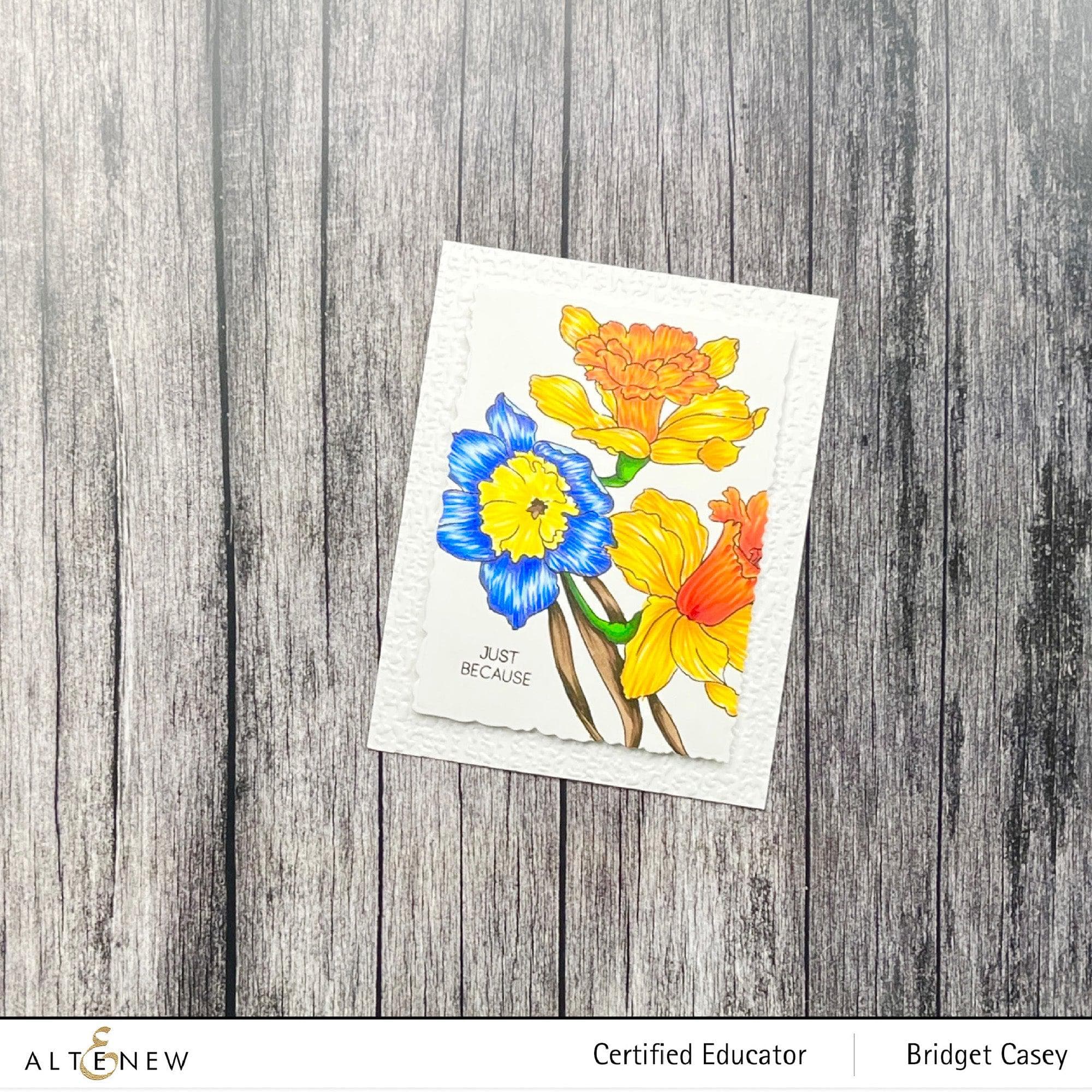 Daffodil Bulbs for Planting - Fresh Flowering Bulbs for Spring Garden, Landscaping & Outdoor Decor | Perfect for Home Gardens, Flower Beds & DIY Landscaping Projects