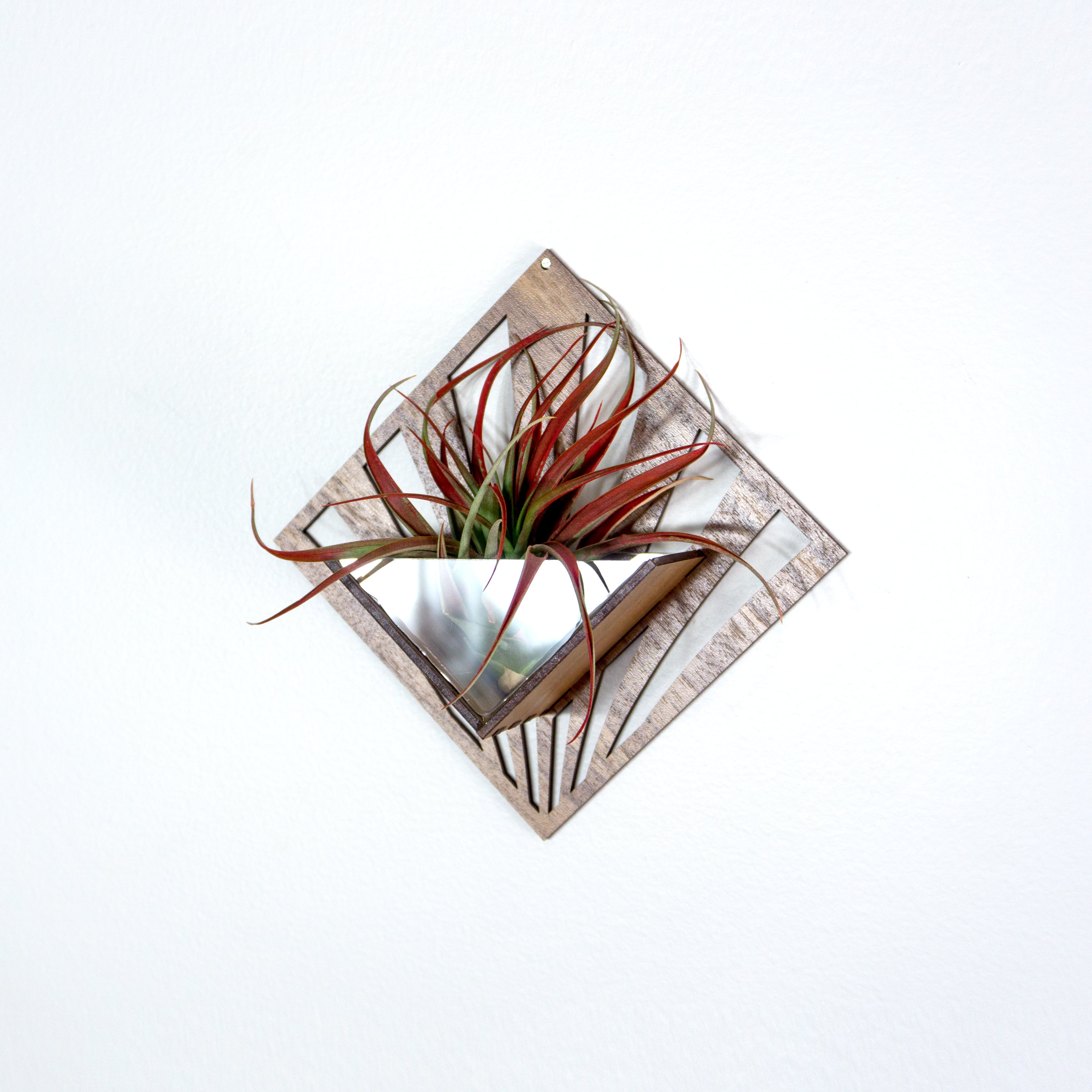Handmade Wooden Quadrate Wall Planter Set of 2 - Air Plant Holder & Mounted Hanger Display for Tillandsia | Rustic Home Decor, Unique Plant Lover Gift Idea for Living Room, Bedroom or Office Decor