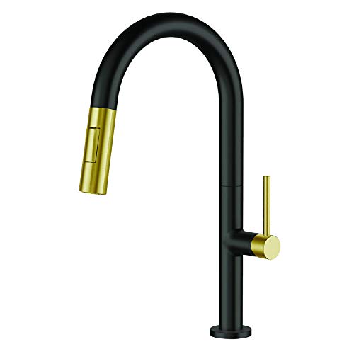 Black/Satin Brass