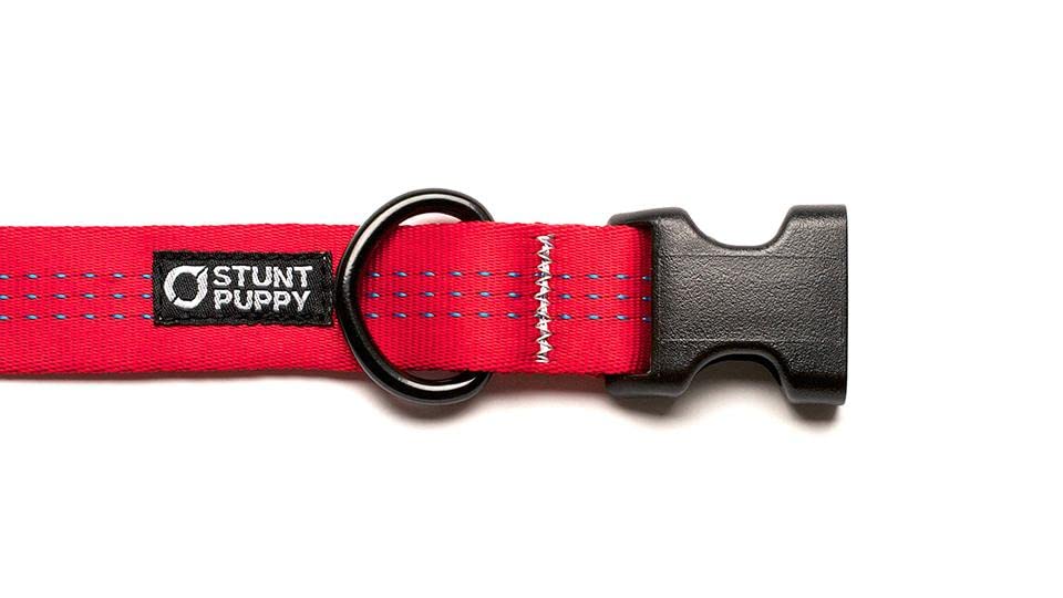Small Silver Everyday Dog Collar - Durable & Stylish for Daily Walks, Training & Outdoor Adventures