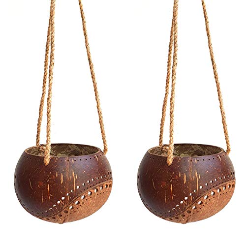 Set of 2 Handcarved Coconut Hanging Planters with Drainage Holes - Natural Two-Tone Design for Succulents, Flowers & Small Plants - Eco-Friendly Indoor/Outdoor Garden Decor - Perfect for Balcony, Patio and Home Décor