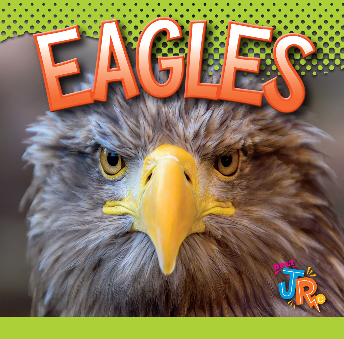 Eagles Book 9781623104504 - Wildlife Nature Guide for Bird Watching & Outdoor Adventures