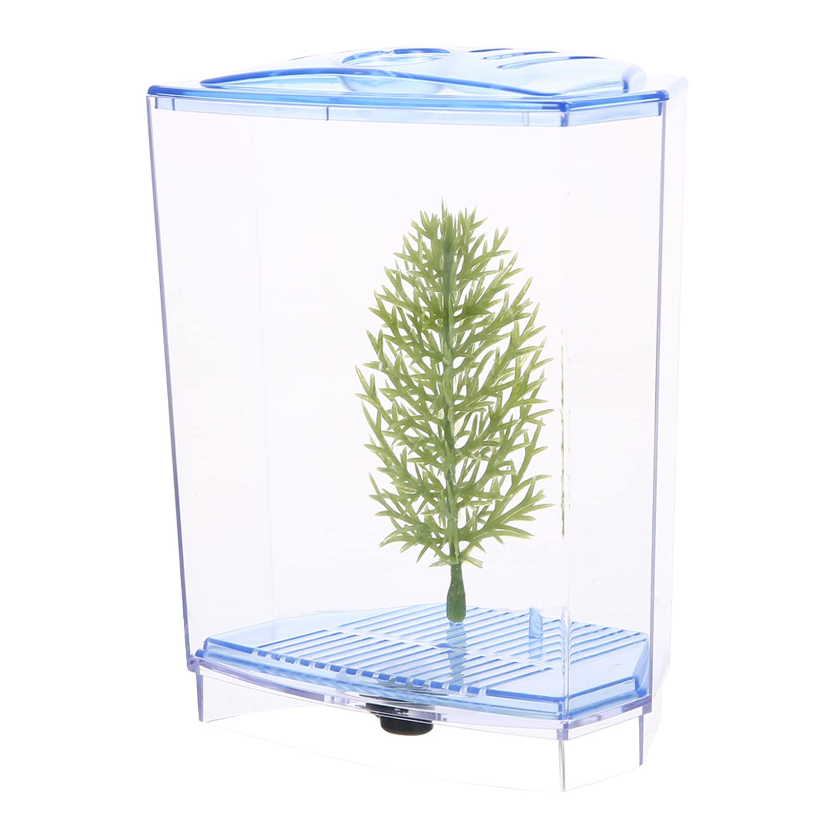 Stylish Fish Tank Terrarium for Office & Home Decor - Desktop Aquarium with Plants for Stress Relief & Workspace Zen | Perfect for Office Desk, Living Room, or Meditation Space