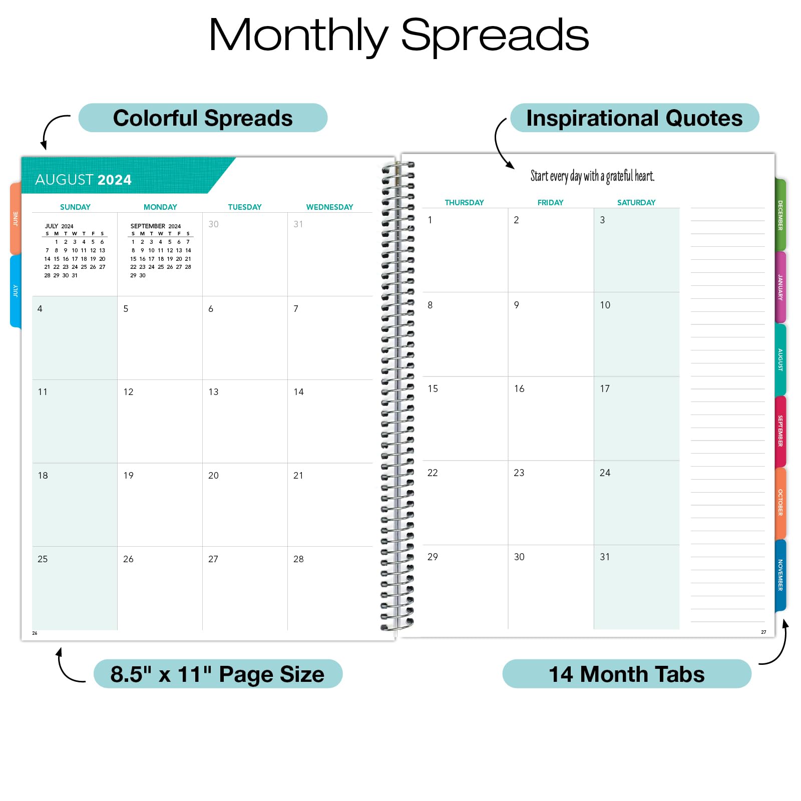 2024-2025 Pastel Peacock Laminated Fashion Planner - 8.5