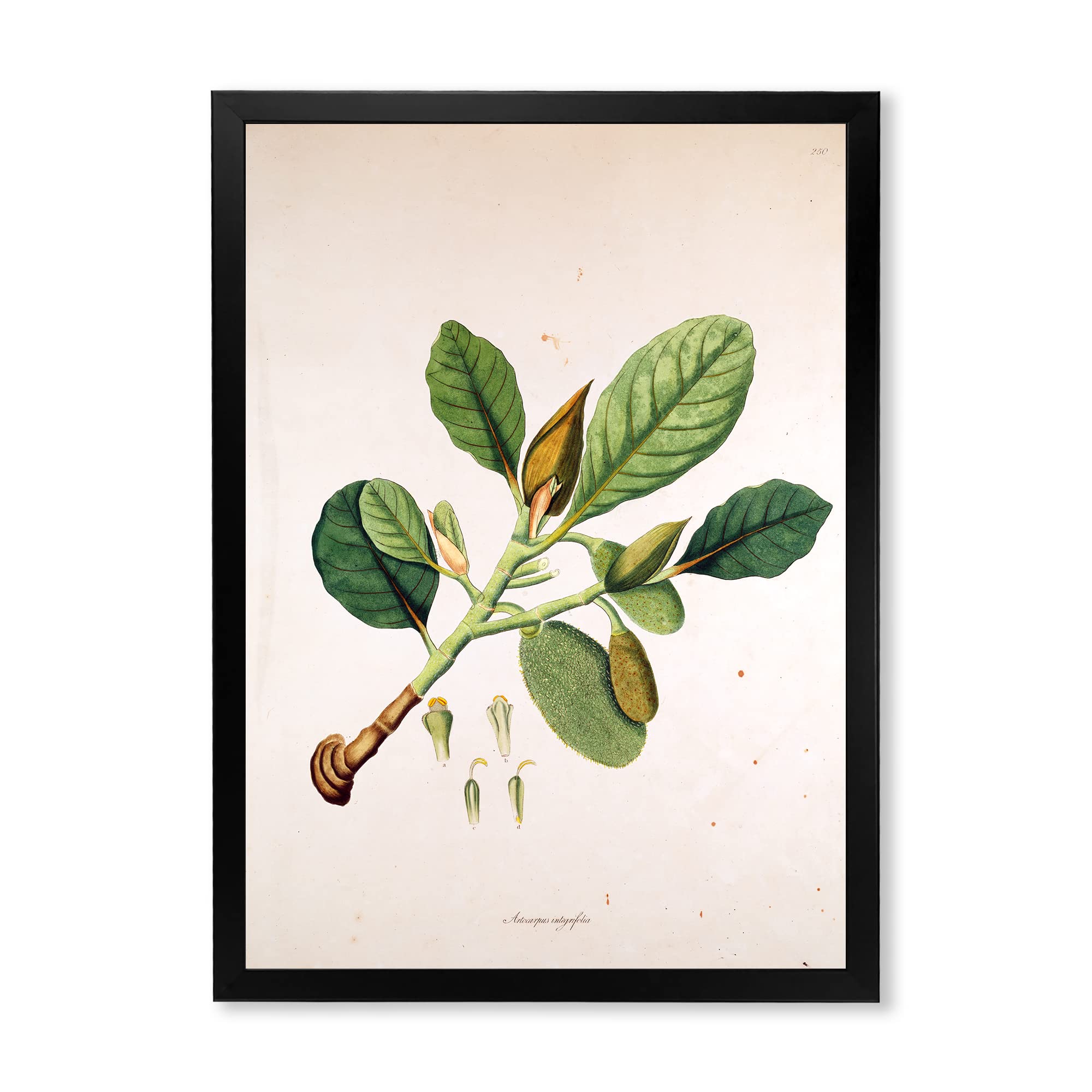 Vintage London Plants Farmhouse Framed Wall Art - Botanical Home Decor for Living Room, Bedroom & Office