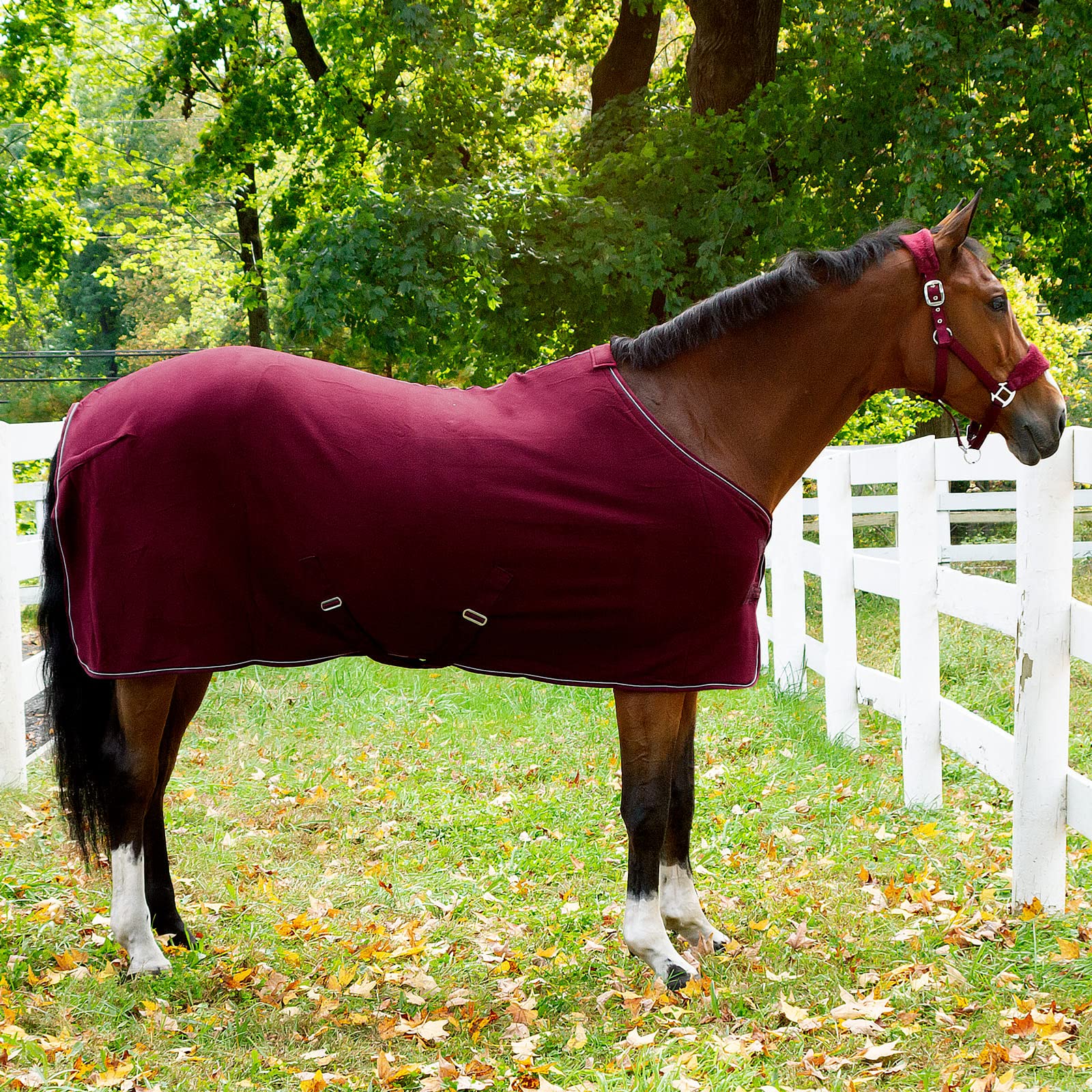 HORZE Kiel Fleece Cooler - Dark Red Horse Blanket 78 Inches - Lightweight Cooling Stable Blanket for Summer & Warm Weather Riding