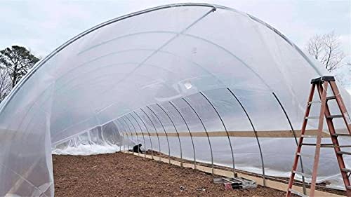 Bootstrap Farmer 4-Year UV Resistant Greenhouse Plastic Film - 6 mil Clear Polyethylene Cover 20' x 60' for Gardening, Plant Protection & Year-Round Growing