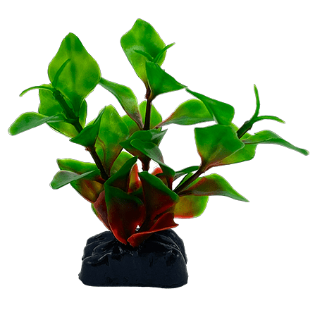 Hygrophila Corymbosa Plastic Betta Fish Plants (3 Pack) - Realistic Aquarium Decor for Betta Tanks, Fish Bowls & Aquatic Habitats