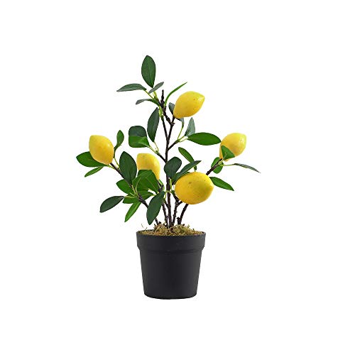 Lemon-large