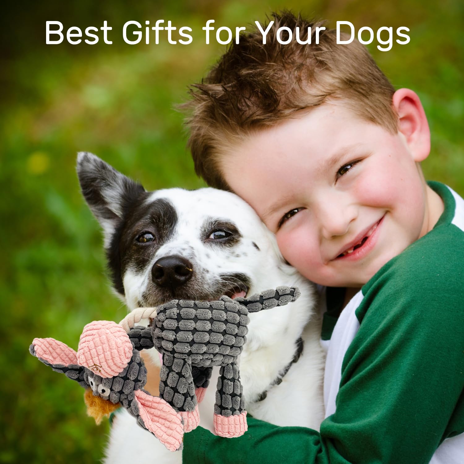 Durable Squeaky Dog Toys for Small & Medium Dogs - 3 Pack Plush Puppy Chew Toys (Donkey, Horse, Sheep) - Interactive Teething Relief Toys for Puppies - Perfect for Indoor Play, Training & Anxiety Relief