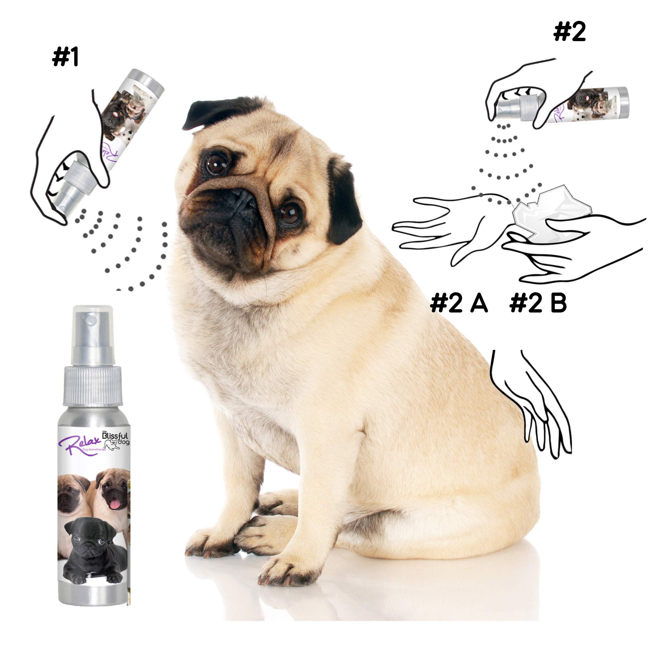 The Blissful Dog Pug Relax Dog Aromatherapy Spray - Calming Anxiety Relief for Dogs | Perfect for Travel, Vet Visits & Fireworks