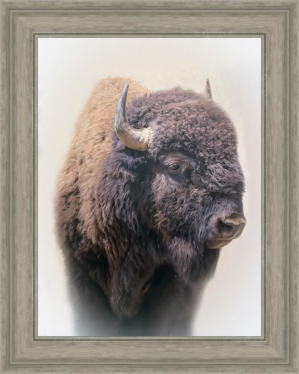 Bison By Matthew Grant | Premium Bison Meat & Jerky | High-Protein Snacks for Camping, Hiking & Outdoor Adventures