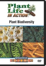 Plant Biodiversity: Explore Diverse Flora for Home Gardens, Landscaping & Eco-Friendly Projects