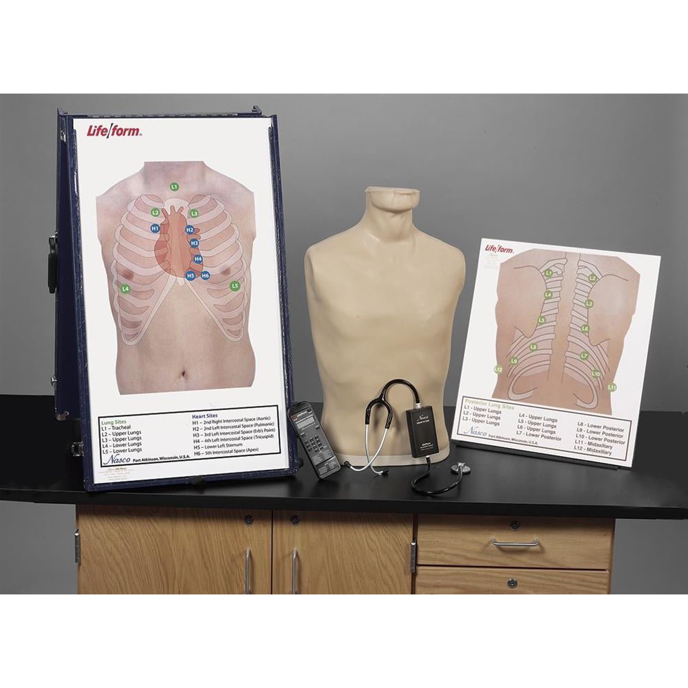 Premium Auscultation Training Station - High-Quality Medical Teaching Tool for Heart & Lung Sounds Practice - Ideal for Medical Students, Nurses & Healthcare Professionals