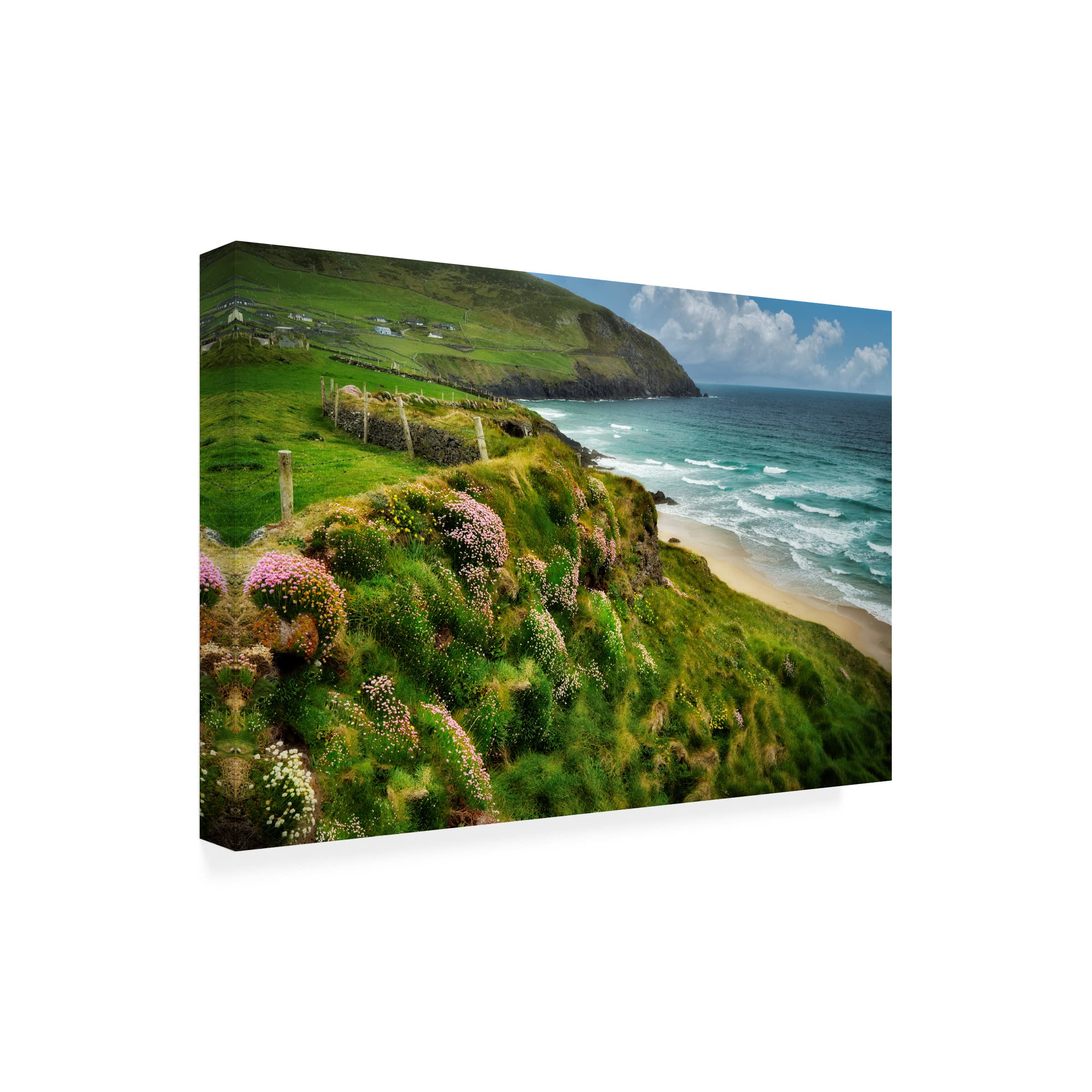 Trademark Fine Art 'Sea Thrift' Canvas Wall Art Print by Dennis Frates - Coastal Beach Decor for Living Room, Bedroom & Office
