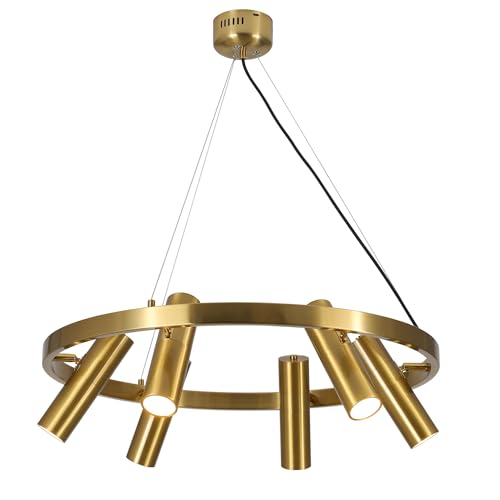 Gold-6 Light