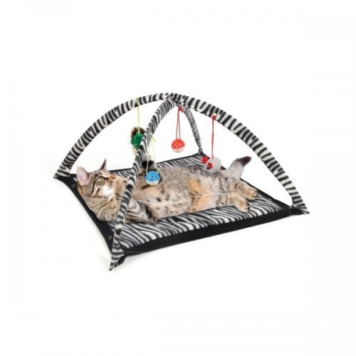 Zebra Print Cat Play Tent with Dangling Toys - 3 Pack for Indoor Play, Kitty Hideaway & Interactive Fun