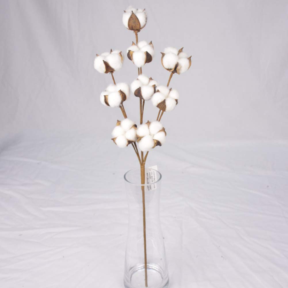 Natural White Cotton Boll Stems - Rustic Farmhouse Vase Filler, Wedding Centerpiece Decor, Floral Arrangement Supplies for Home, Wedding & Event Decorations