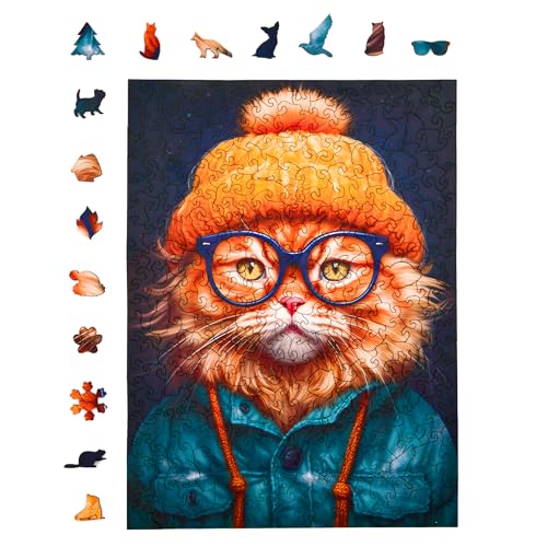 Giovanny Ginger Cat
