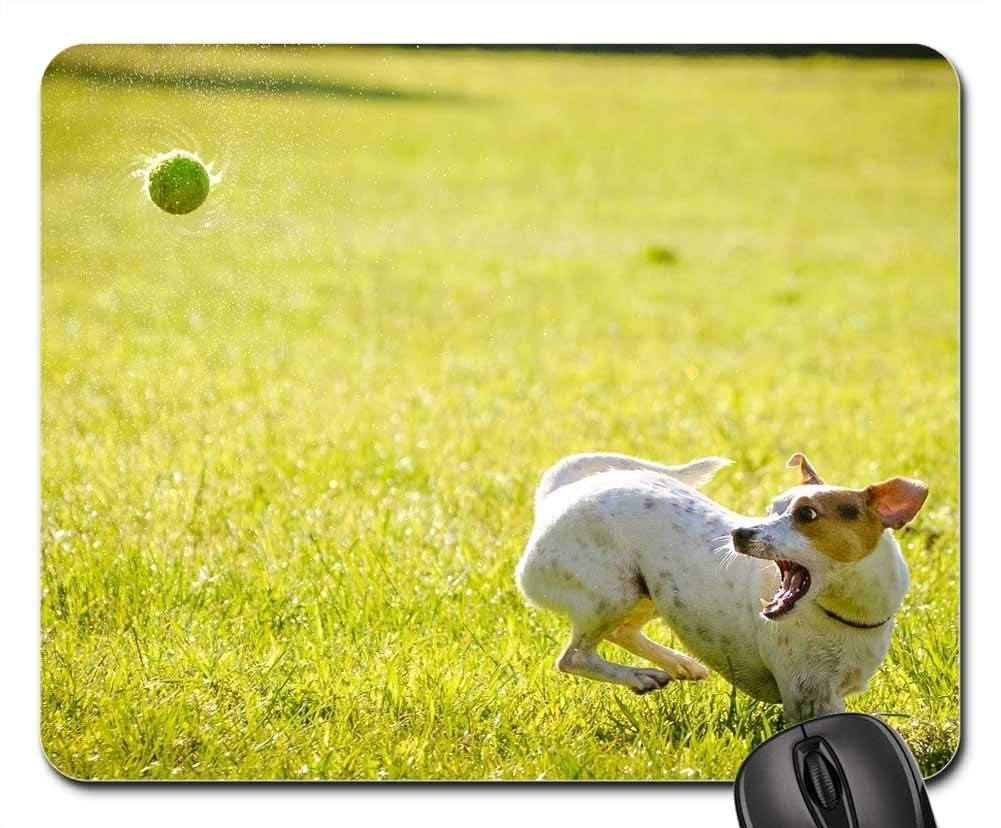 Premium Non-Slip Mouse Pad with Dog Hunting Ball Design - Ergonomic Gaming & Office Computer Accessories for PC Laptop Users - Perfect for Work, Gaming and Home Office Setup
