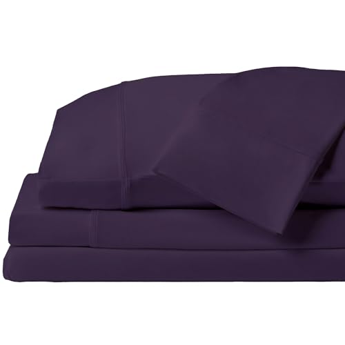 Royal Plum