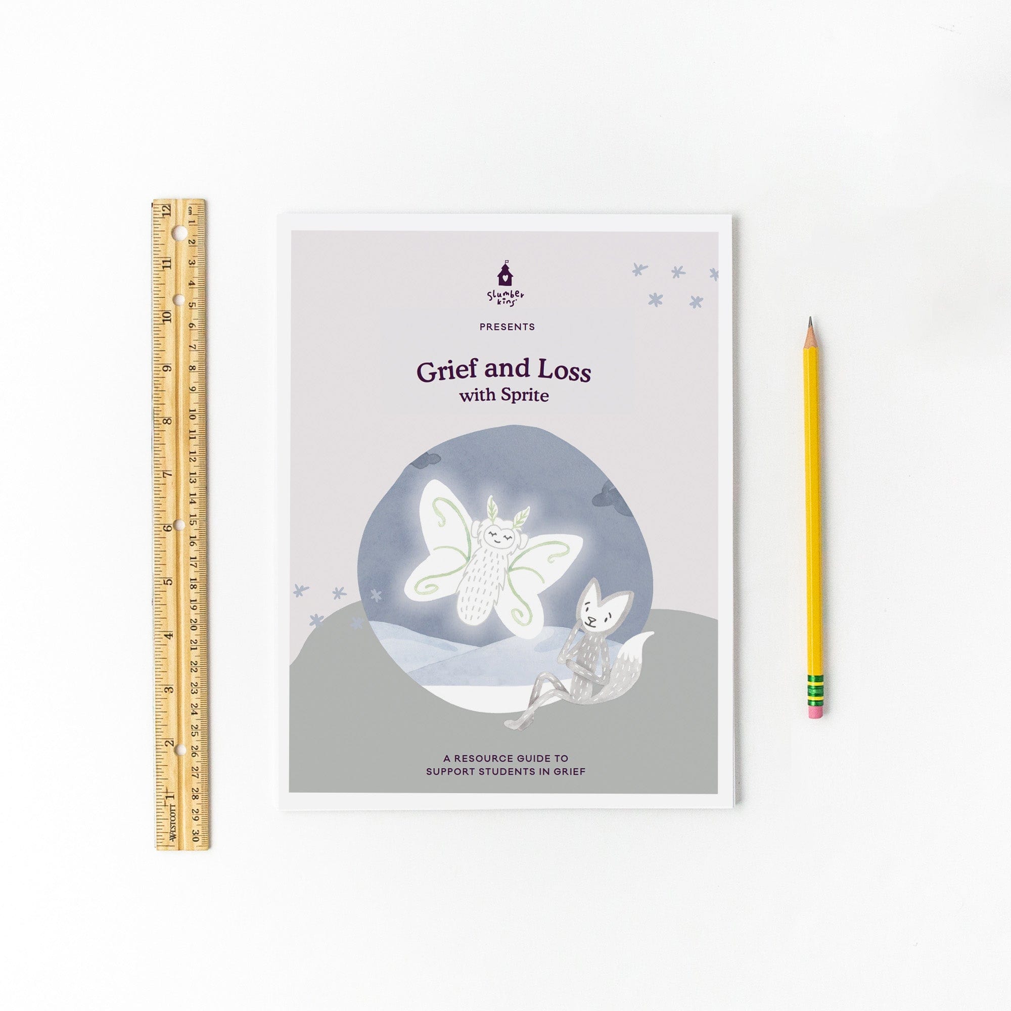 Comprehensive Grief and Loss Unit Plan for Teachers - Coping Strategies & Healing Activities for Students | Classroom & Counseling Use
