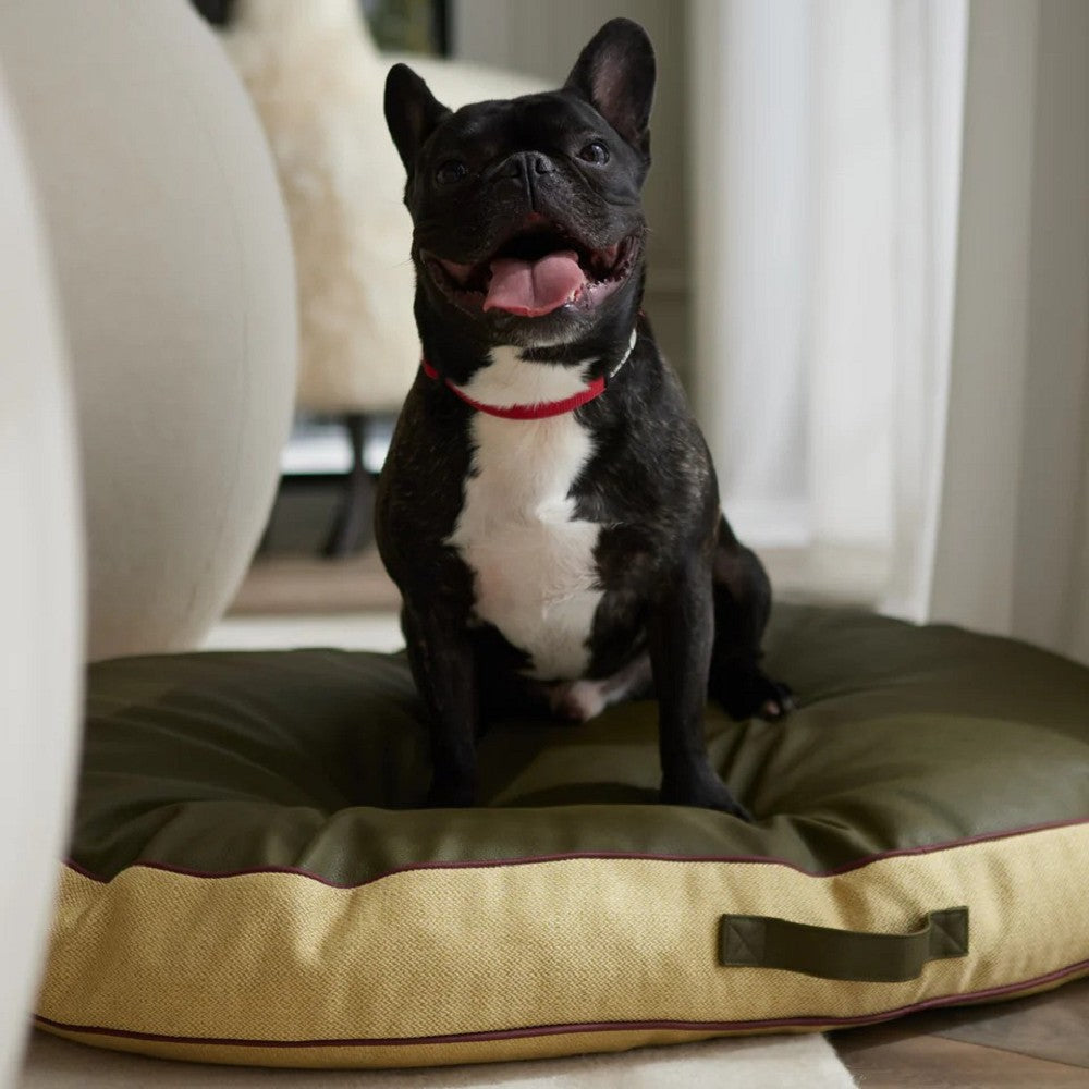 Beasty Pet Duo Bed - Soft & Durable Dog & Cat Bed for Large & Small Pets - Perfect for Home, Crate & Travel Use