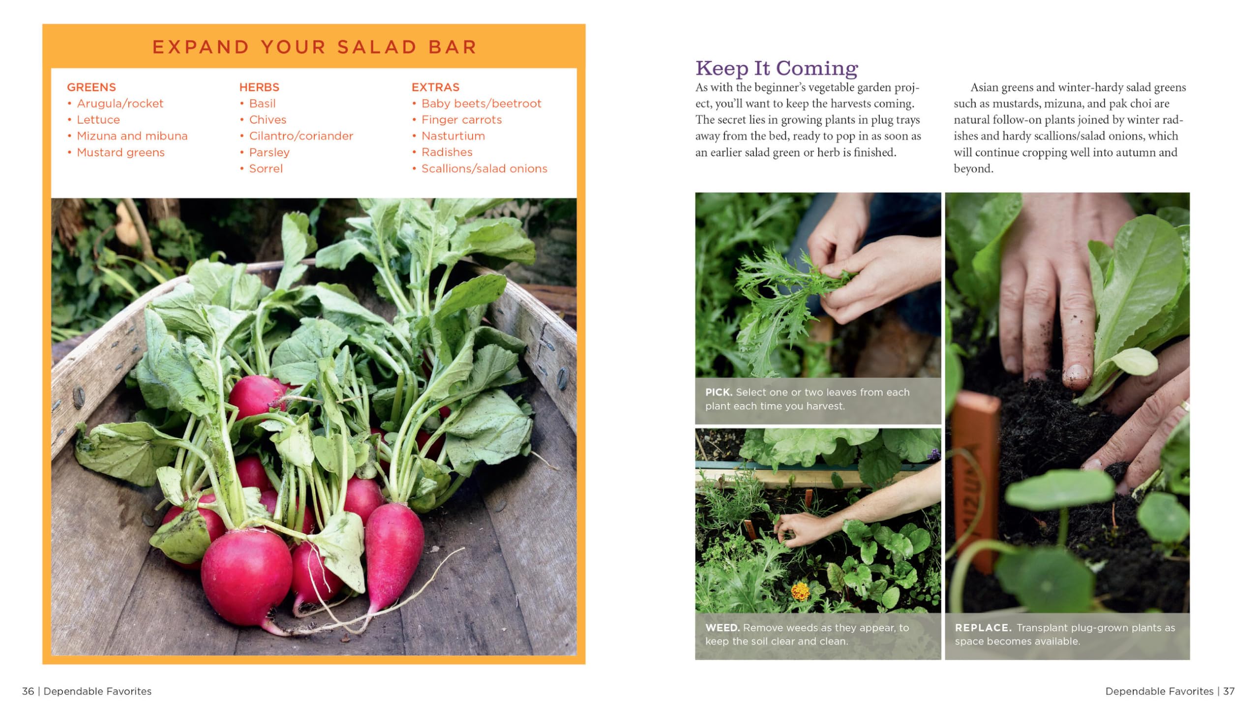 GrowVeg: The Complete Beginner's Guide to Easy Vegetable Gardening at Home - Perfect for Backyard, Container & Urban Gardening