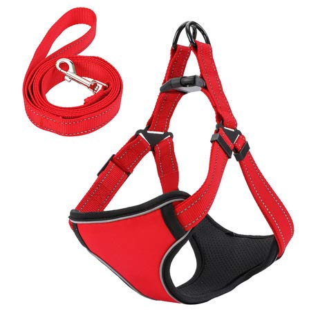 Adjustable Pet Harness for Dogs & Cats - Breathable Outdoor Safety Vest with Reflective Traction Rope - Perfect for Walking & Hiking