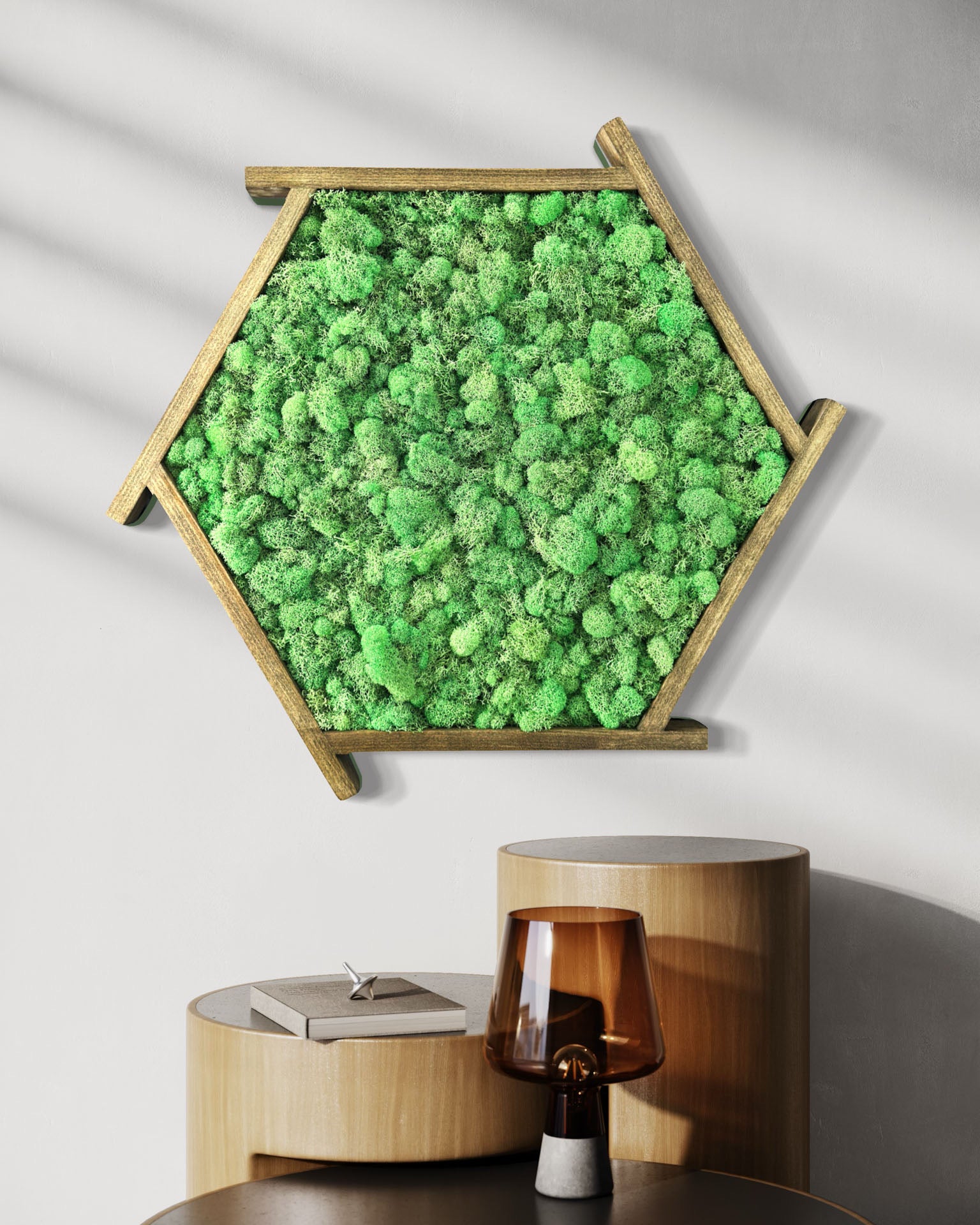 Aperture Hanging Moss Garden - Unique Air Plant Display for Home & Office Decor | Perfect for Living Rooms, Bathrooms, and Indoor Green Spaces