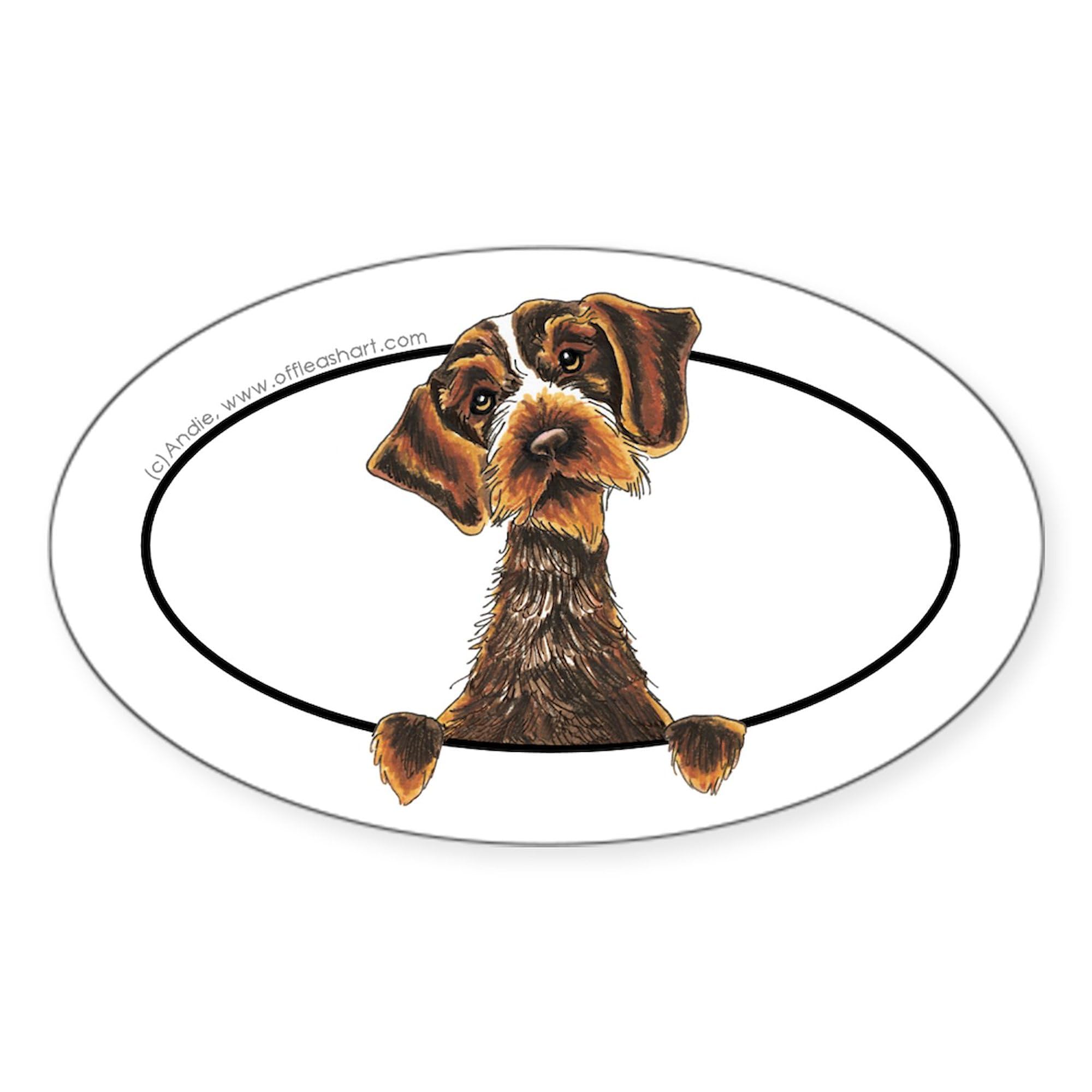 Wirehaired Pointing Griffon Peeking Oval Car Bumper Sticker - Funny Dog Lover Decal for Cars, Trucks & Laptops - Perfect for Pet Owners & Hunting Enthusiasts