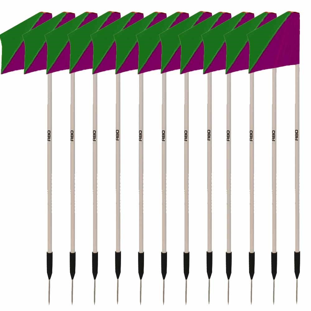 Premium Sideline Pole with Custom Club Colors Flag Sets - Perfect for Football, Soccer, and Sports Team Fan Support