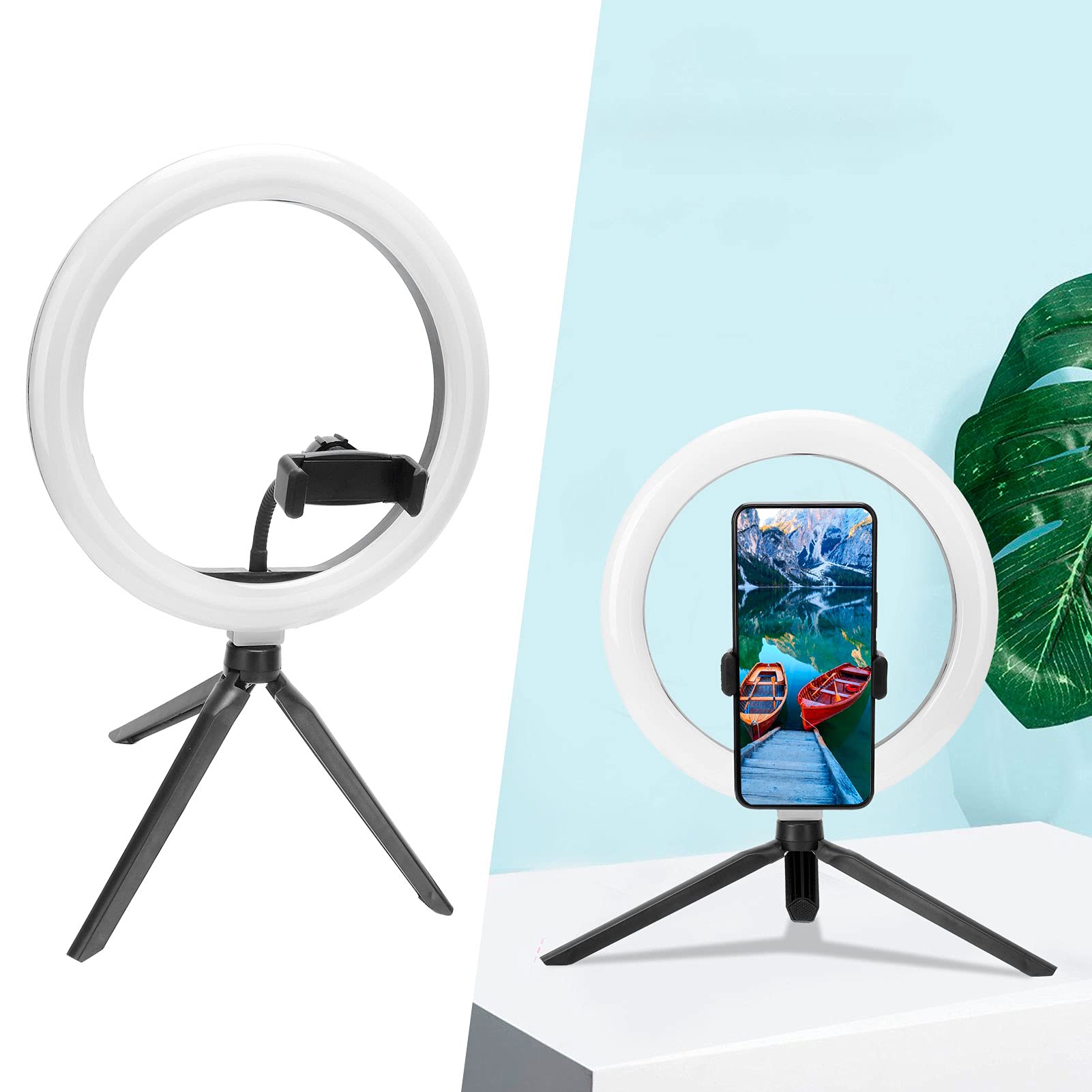 Dimmable LED Circle Light - 10 Brightness Levels, Makeup Lamp with Phone Holder for Vanity, Selfie & Video Lighting - Perfect for Makeup Application, Content Creation & Home Office Desk Lighting