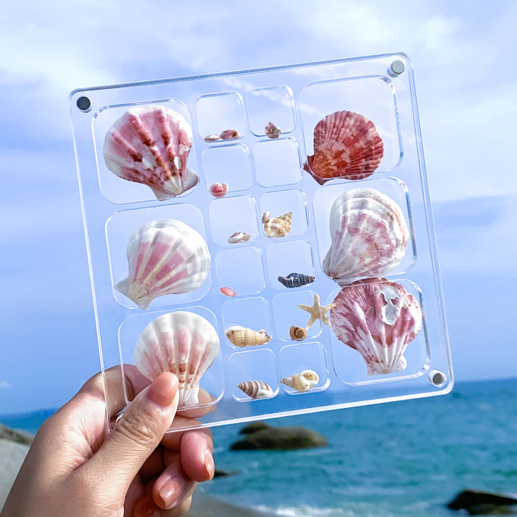 Multi-Style Clear Acrylic Magnetic Seashell Display Box - Shadow Box for Tiny Treasures, Shell Collector Case with Grid Cabinet - Perfect for Beachcombing Finds, Jewelry Display & Home Decor