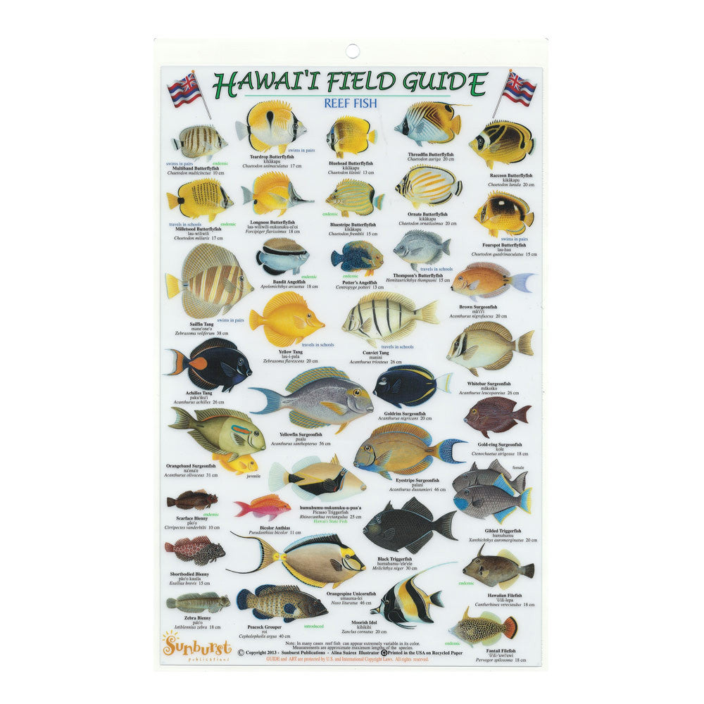 Hawaii Reef Fish Identification Guide - Comprehensive Field Guide for Snorkeling & Scuba Diving Enthusiasts