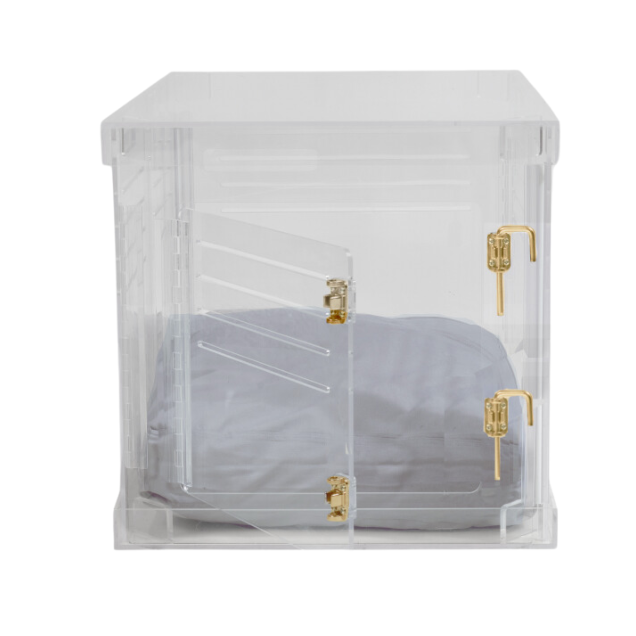 Clear Plastic Dog Crate with Removable Gate - Portable Pet Carrier for Small to Medium Dogs - Perfect for Travel, Training & Home Use