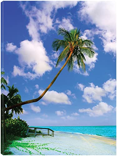 Sanibel Island