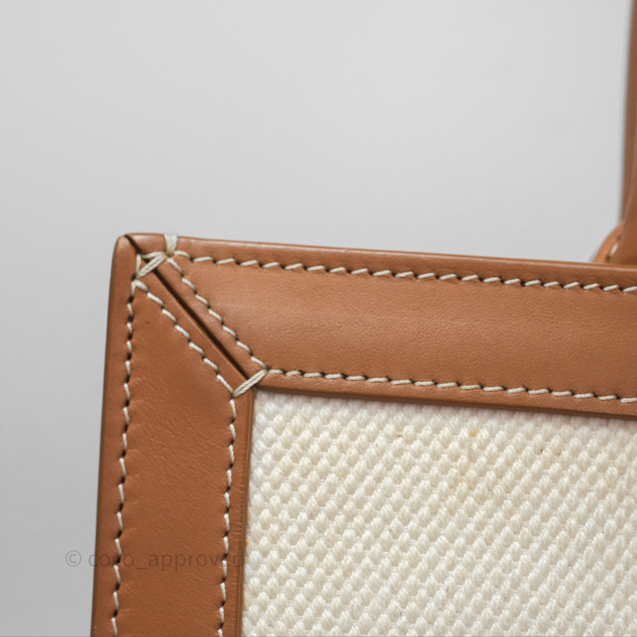 Celine Small Vertical Cabas Tote Bag with Celine Print in Natural/Tan - Stylish Designer Handbag for Women, Perfect for Work, Travel & Everyday Use