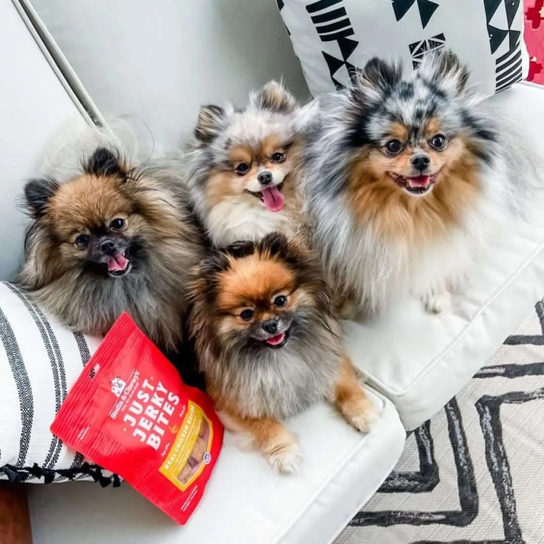 Stella & Chewy's Just Jerky Natural Dog Treats - 6 oz | Grain-Free, Protein-Rich Snacks for Training & Rewarding Your Pet