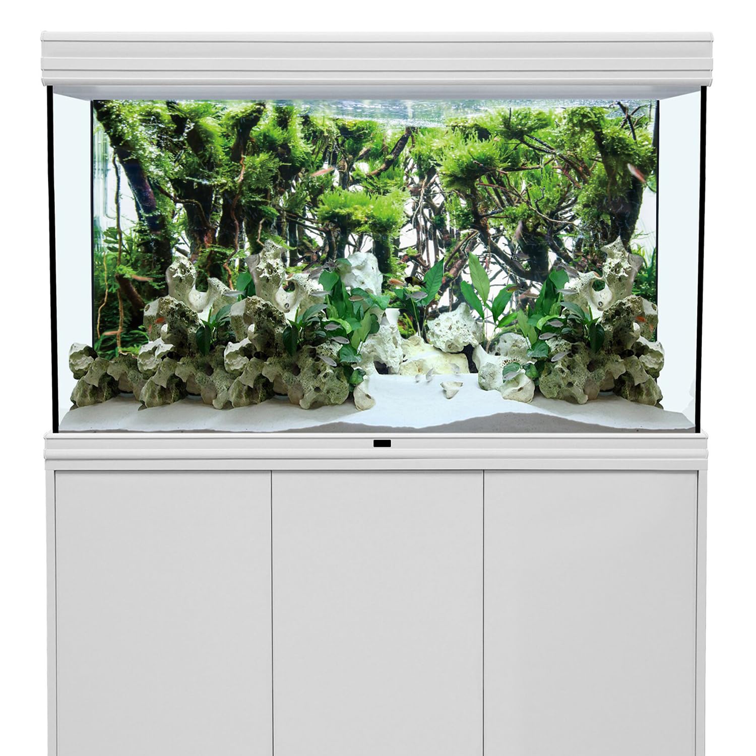 AWERT 60x24