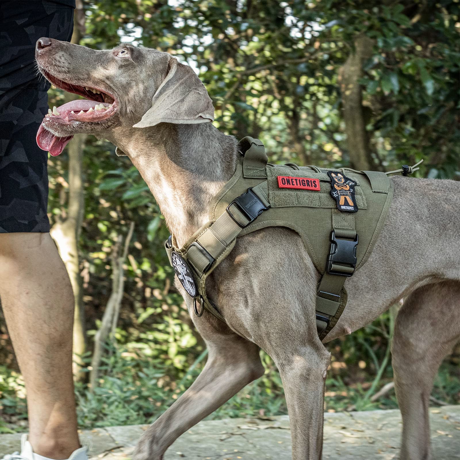 OneTigris Tactical Dog Harness Vest with Handle - Military Grade No-Pull Service Vest for Large & Medium Dogs | Adjustable FIRE Watcher 2.0 Harness for Walking, Hiking & Training (Size S, Green) | Perfect for Outdoor Adventures & Working Dogs