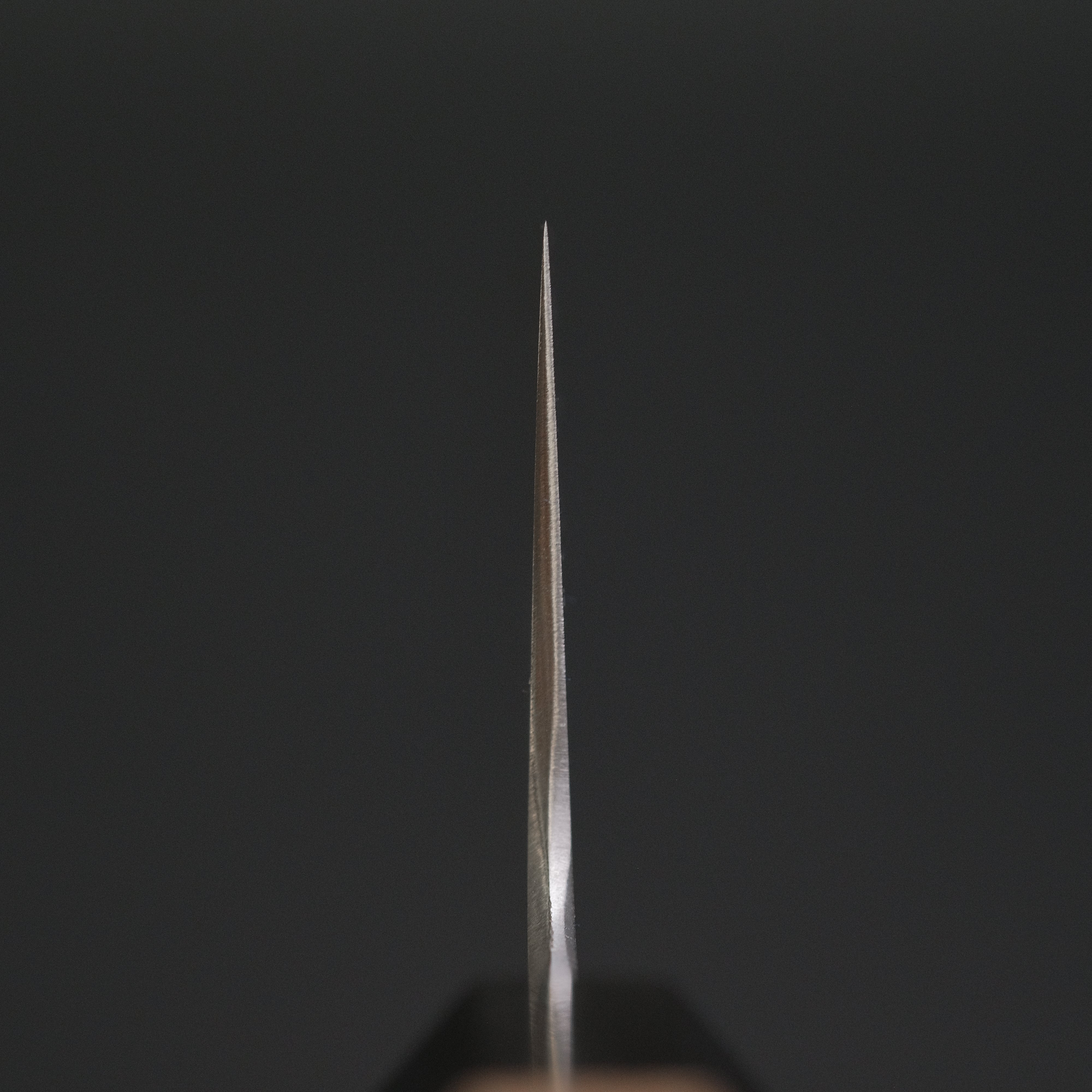 Premium Konosuke HD2 Gyuto 225mm Japanese Chef Knife with Ho Wood Handle - Perfect for Sushi, Meat Slicing & Professional Kitchen Use